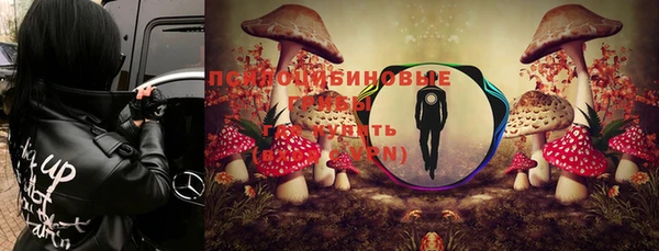 ALPHA PVP Володарск