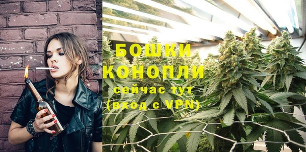 дурь Волосово